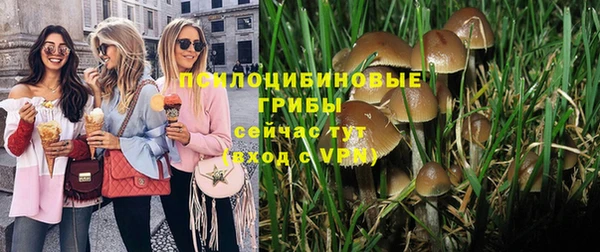 прущая мука Балахна