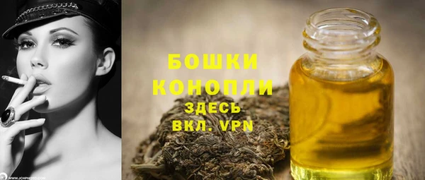 стаф Белоозёрский