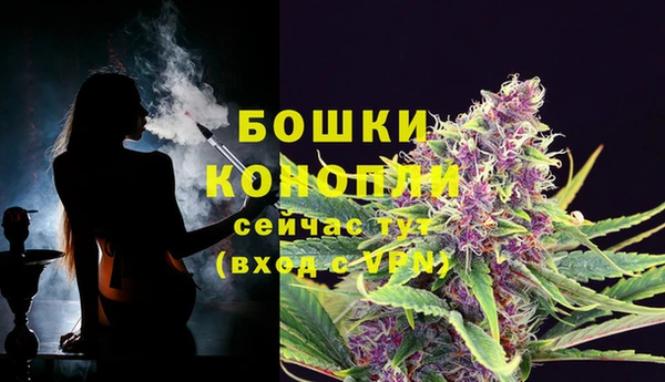 спайс Беломорск